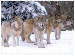 Bild_Schloss_Lichtenstein